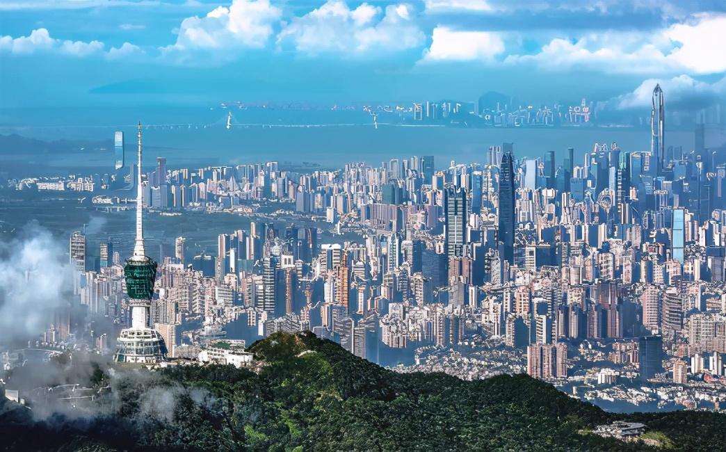 史丹利深圳，引领行业变革的企业传奇故事揭秘