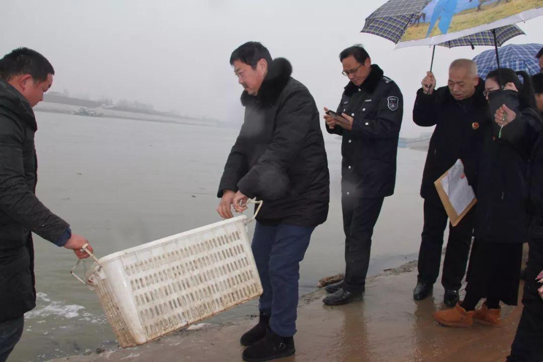 汉江非法捕鱼事件内幕揭秘，早期消息曝光