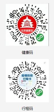 文金