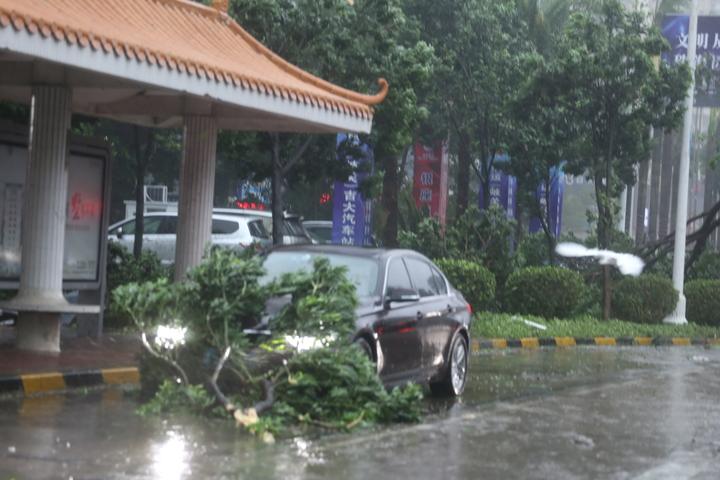 九号台风，起源与首次登陆揭秘